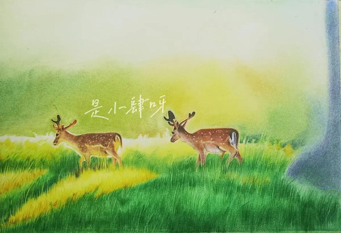 呦呦林间鹿 从笔尖到画布的创作之旅